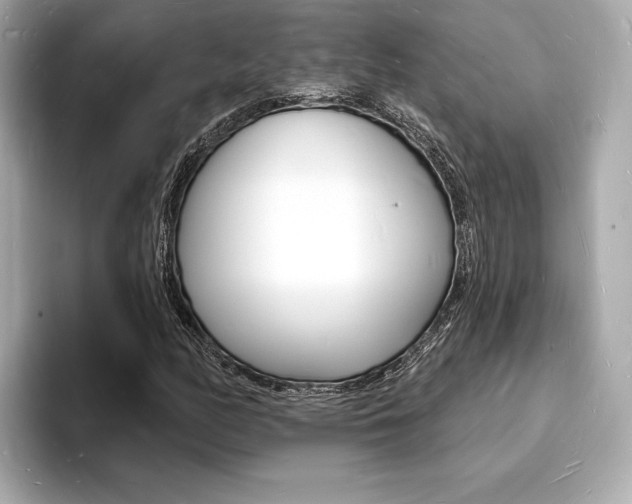 X0000093601158200710150952
