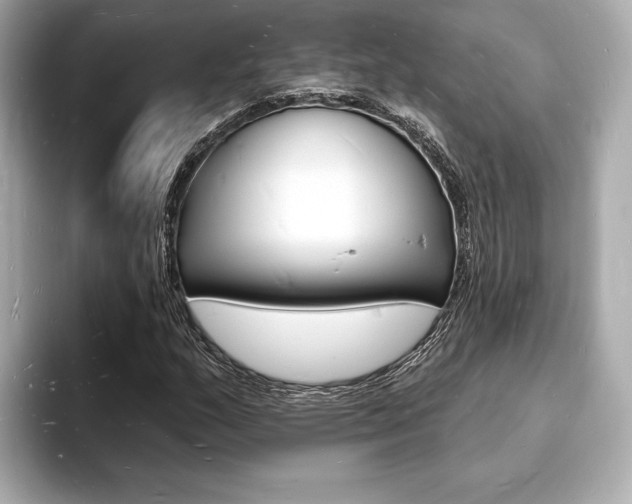X0000093601159200710150952