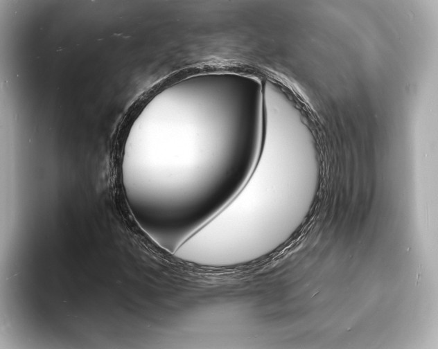 X0000093601160200710150952