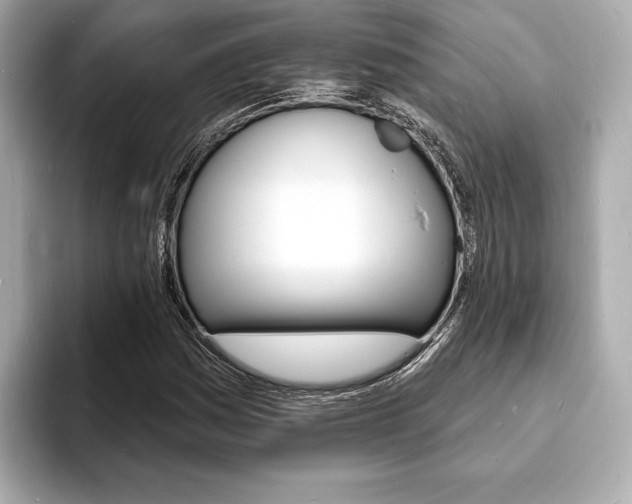 X0000093601161200710150952
