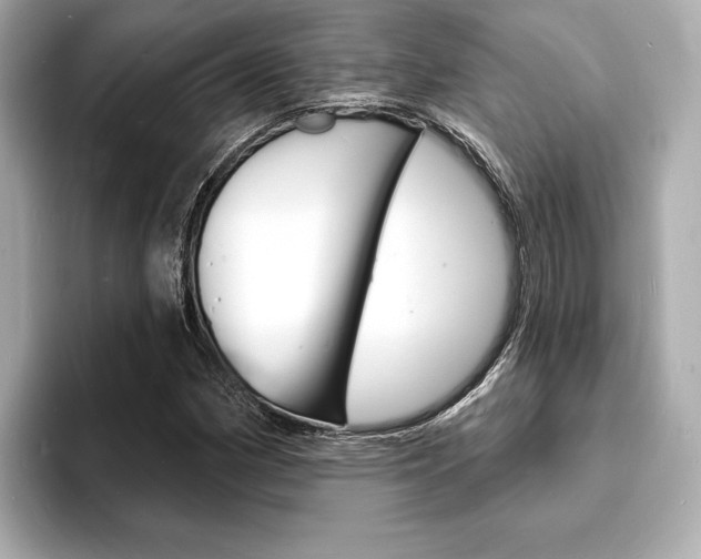 X0000093601162200710150952
