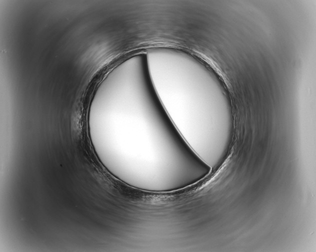 X0000093601163200710150952