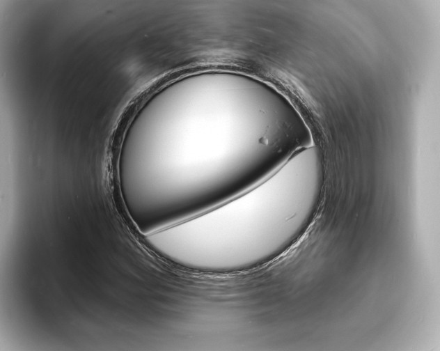 X0000093601164200710150952