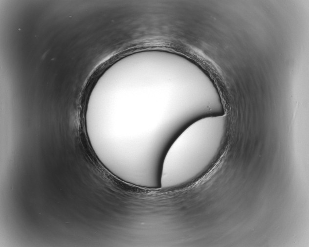 X0000093601166200710150952