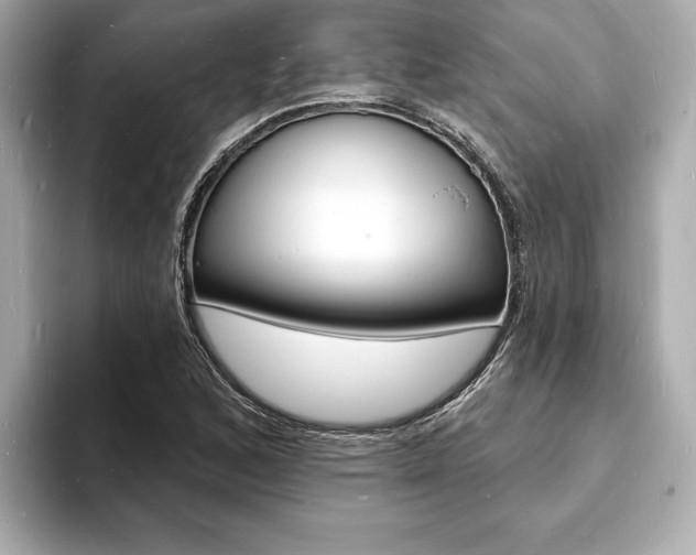 X0000093601168200710150952
