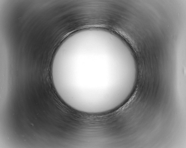 X0000093601169200710150952