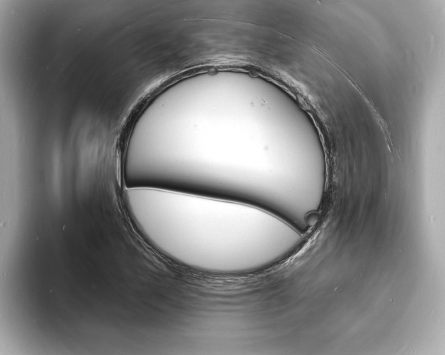 X0000093601171200710150952
