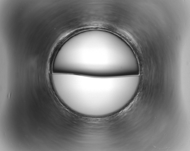 X0000093601172200710150952