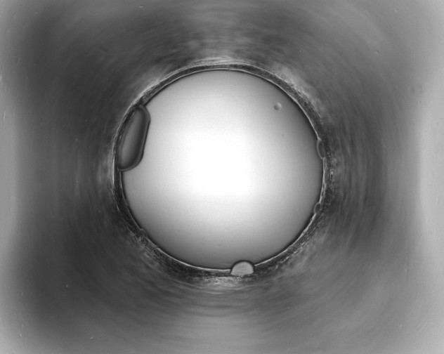 X0000093601173200710150952