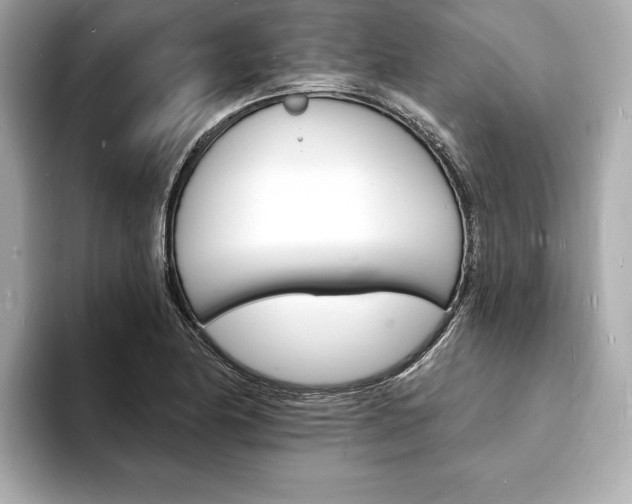 X0000093601174200710150952