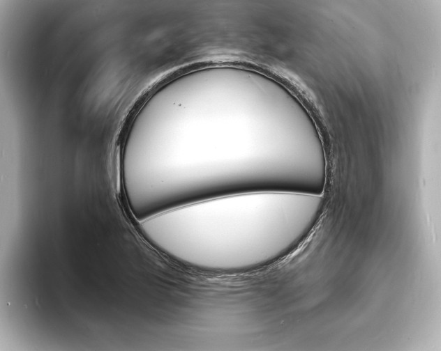 X0000093601175200710150952