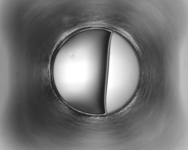 X0000093601176200710150952