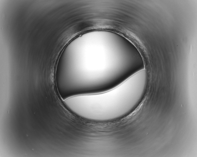 X0000093601177200710150952