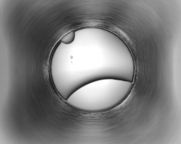 X0000093601178200710150952