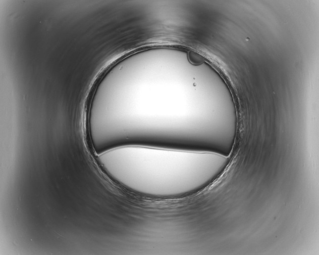 X0000093601179200710150952