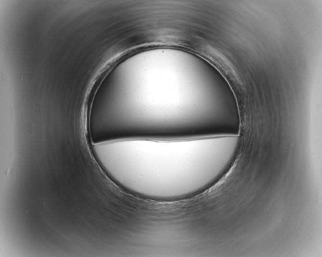 X0000093601180200710150952
