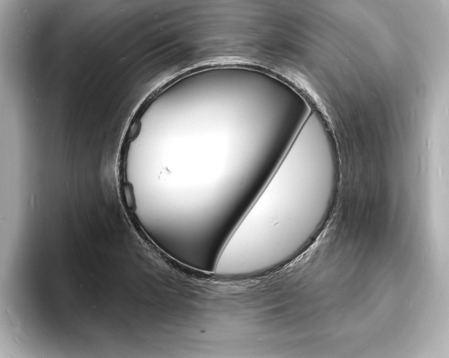 X0000093601181200710150952