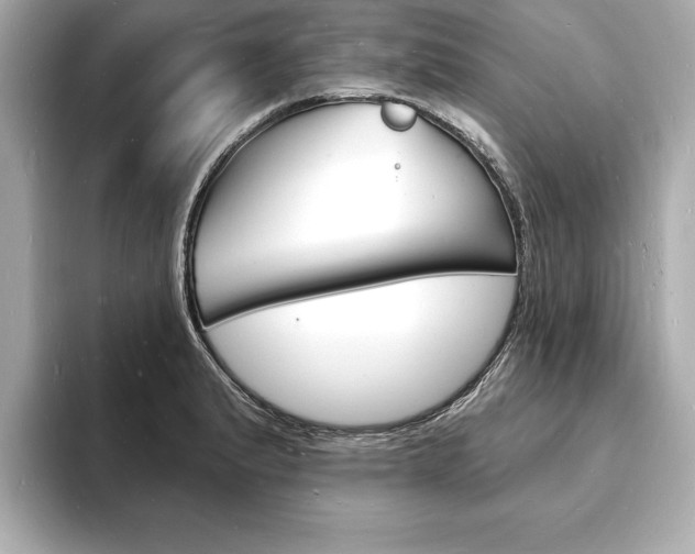 X0000093601183200710150952