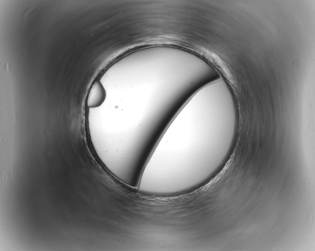 X0000093601184200710150952