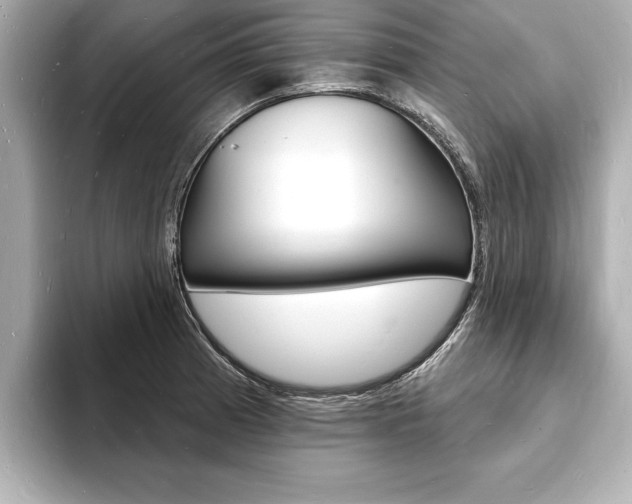 X0000093601185200710150952