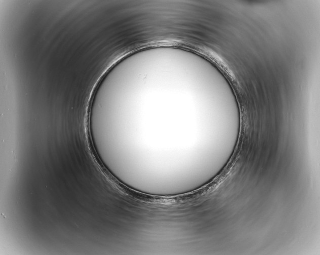 X0000093601186200710150952