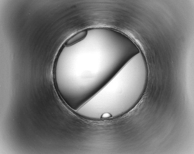 X0000093601189200710150952