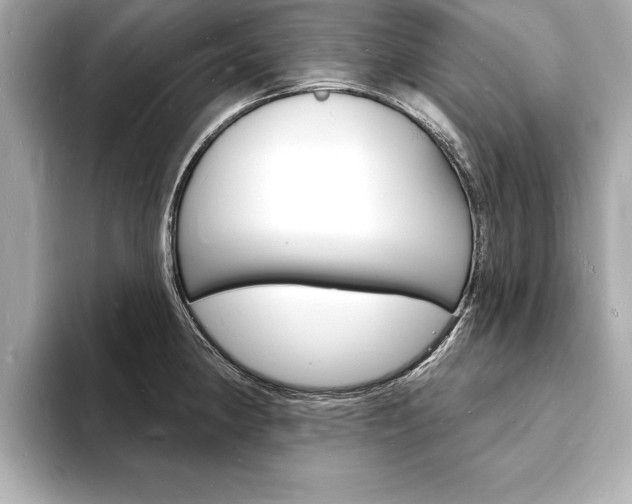 X0000093601190200710150952