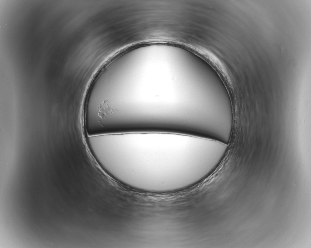 X0000093601191200710150952