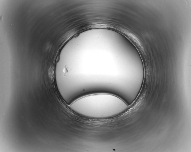 X0000093601193200710150952