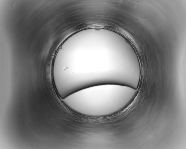 X0000093601194200710150952