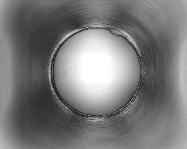 X0000093601195200710150952