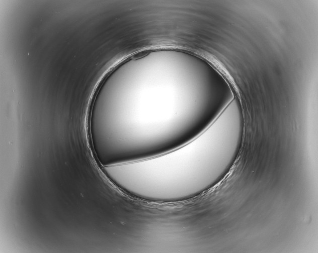 X0000093601197200710150952