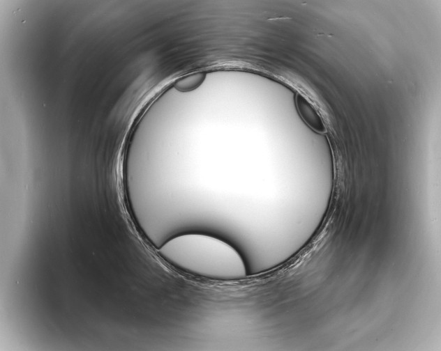 X0000093601198200710150952