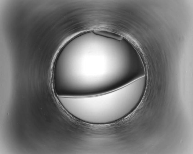X0000093601200200710150952