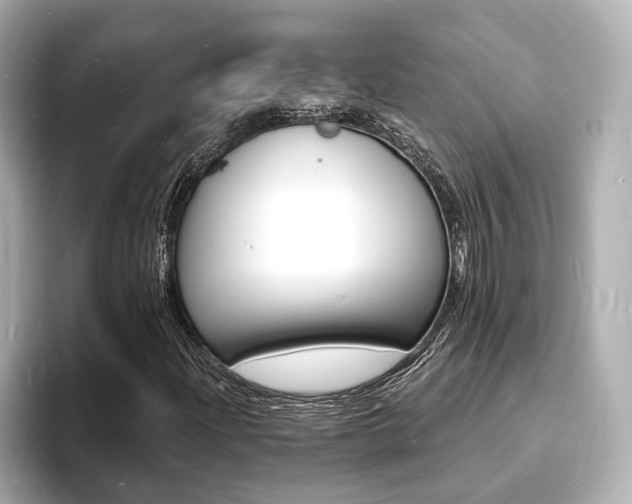X0000093601204200710150951