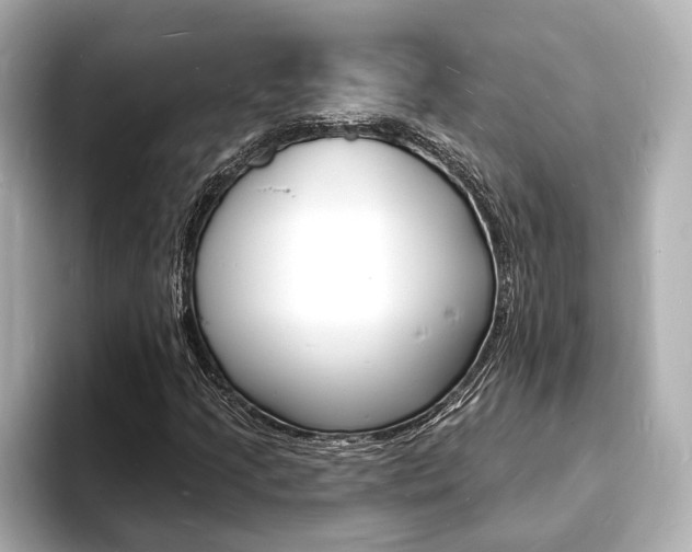 X0000093601205200710150951