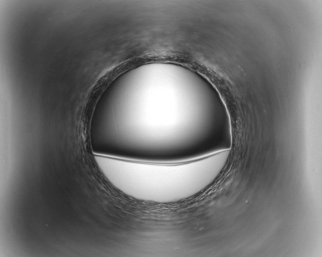 X0000093601206200710150951