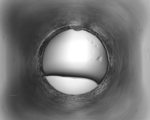 X0000093601208200710150951