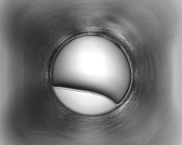 X0000093601209200710150951