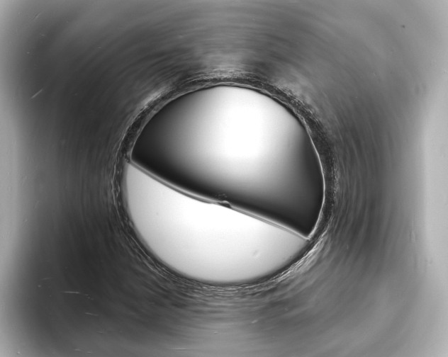 X0000093601210200710150951