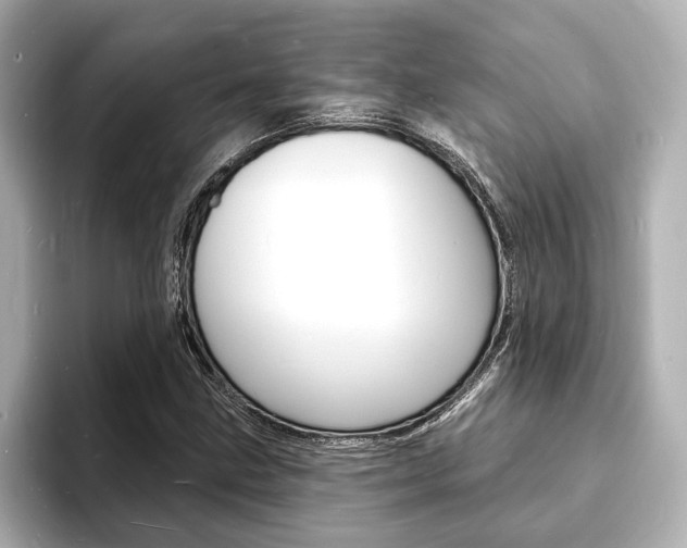 X0000093601211200710150951