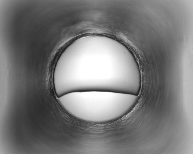 X0000093601215200710150951