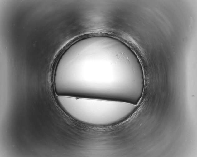 X0000093601216200710150951