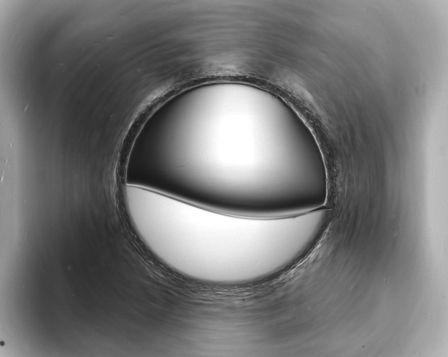 X0000093601218200710150951