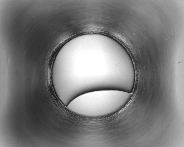 X0000093601219200710150951