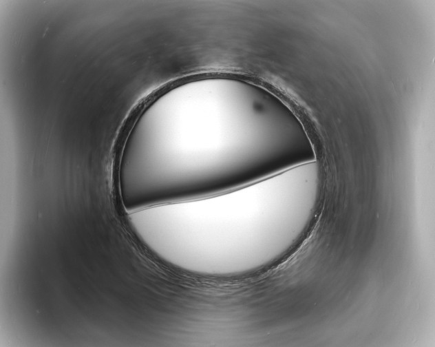 X0000093601222200710150952