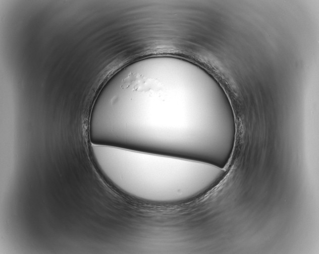 X0000093601225200710150952