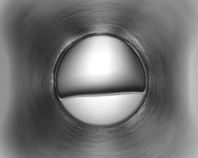 X0000093601226200710150952