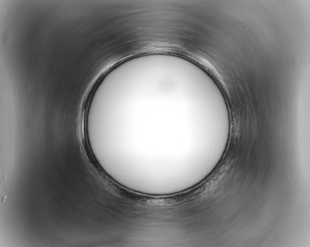 X0000093601227200710150952