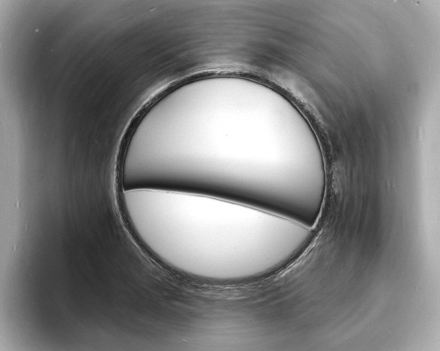 X0000093601229200710150952